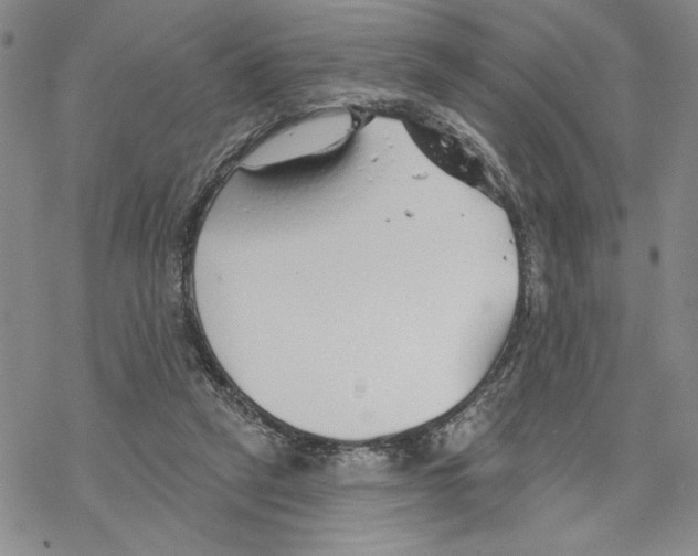 X0000069360257200606091608