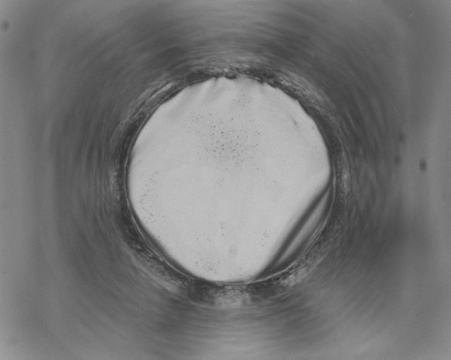 X0000069360258200606091608