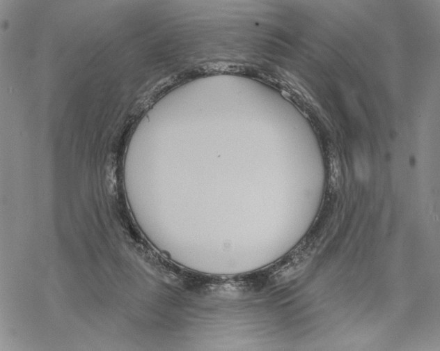 X0000069360259200606091608