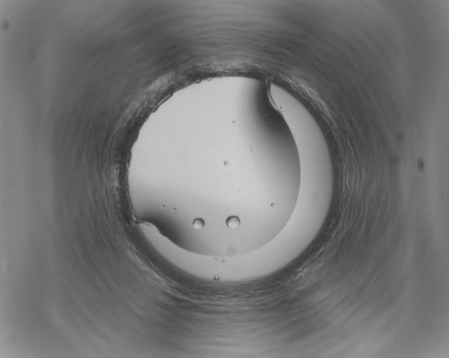 X0000069360260200606091608