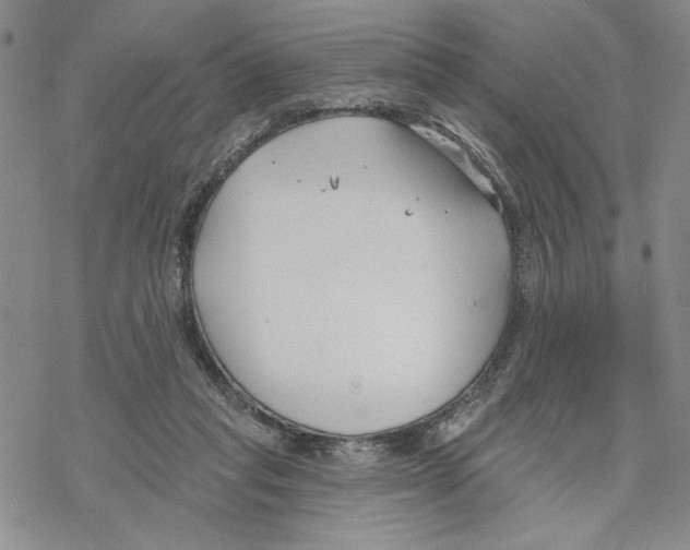 X0000069360261200606091608