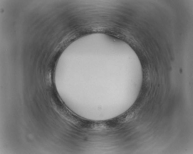 X0000069360262200606091608