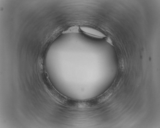 X0000069360264200606091608