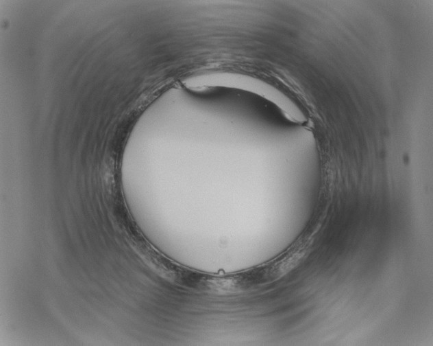 X0000069360265200606091608