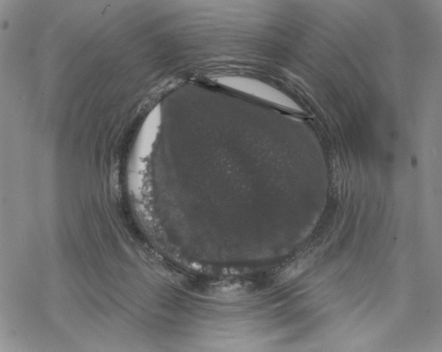 X0000069360267200606091608