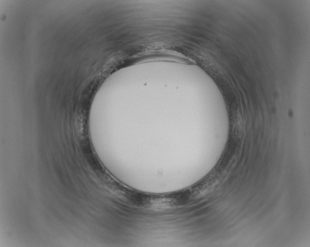 X0000069360268200606091608