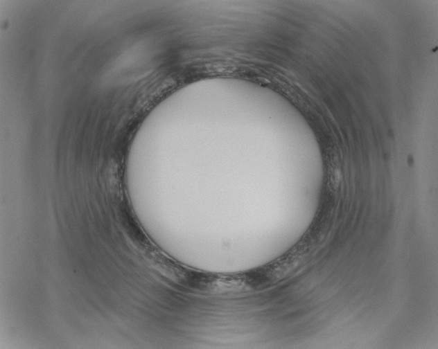 X0000069360270200606091608