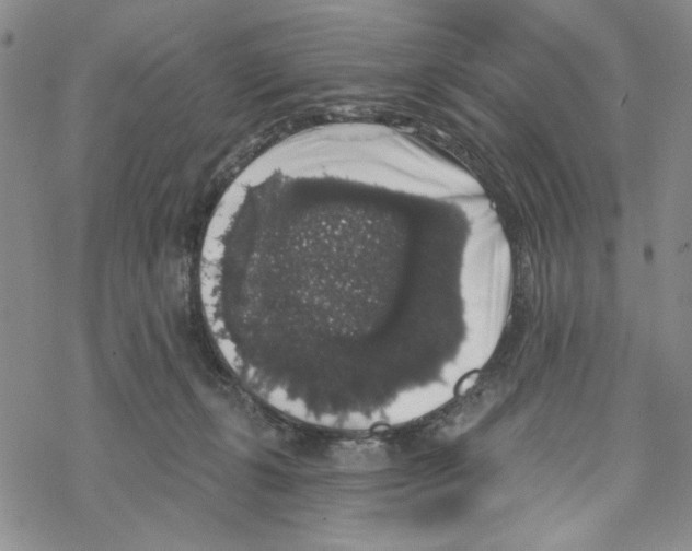 X0000069360271200606091608