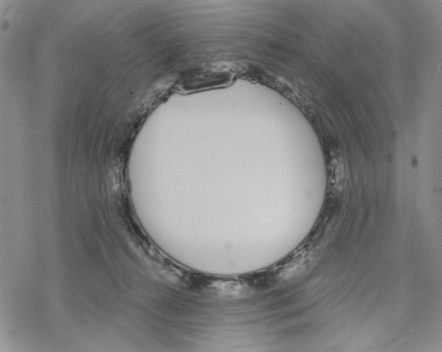 X0000069360272200606091608