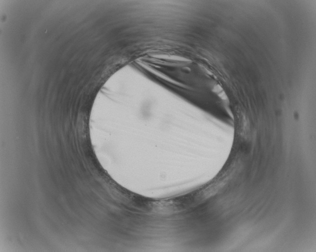 X0000069360273200606091608