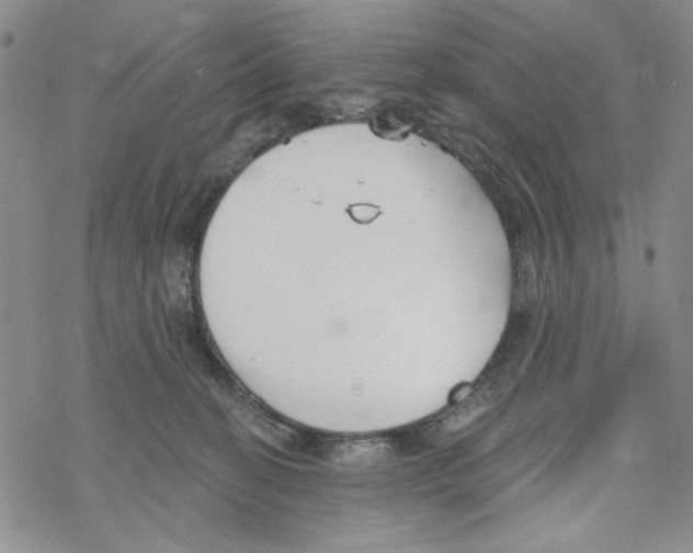 X0000069360274200606091608