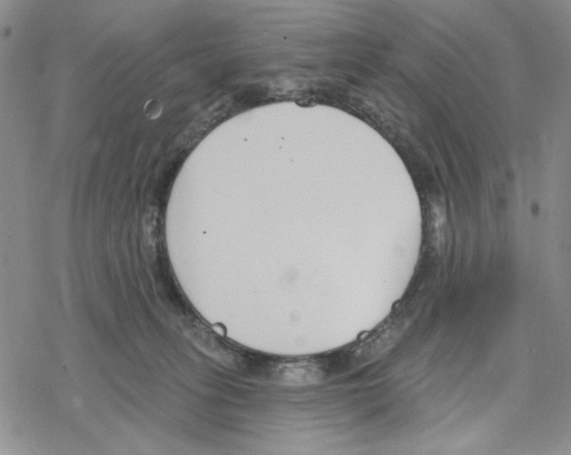 X0000069360275200606091608