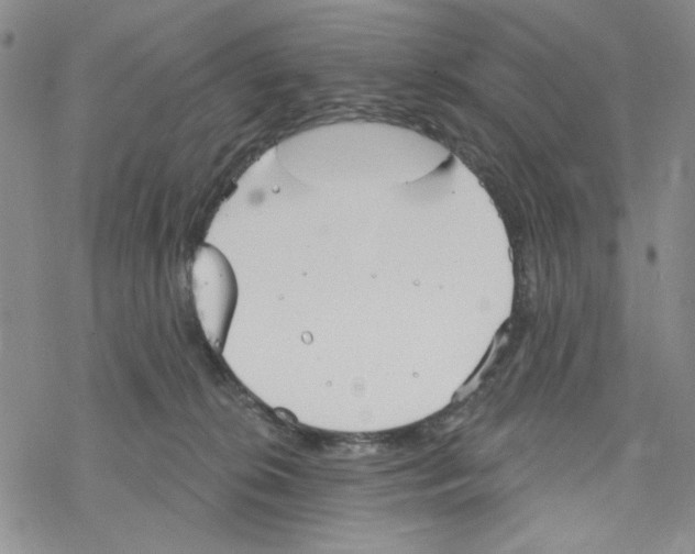 X0000069360276200606091608