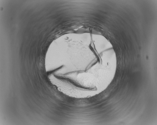 X0000069360277200606091608