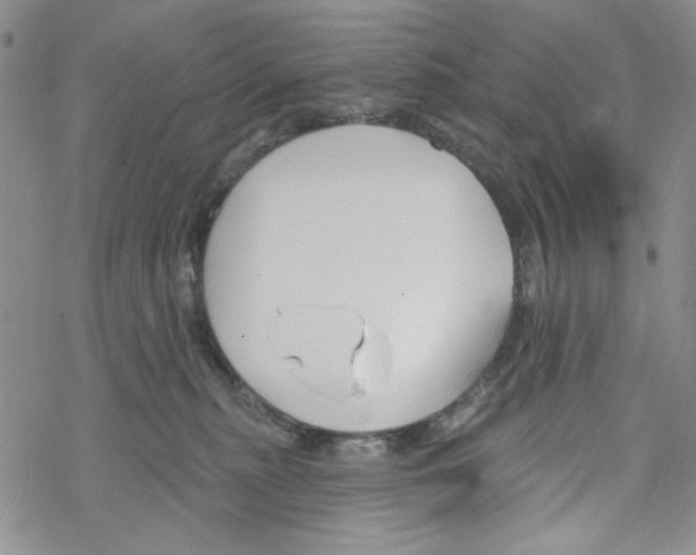 X0000069360279200606091609