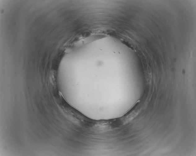 X0000069360280200606091609