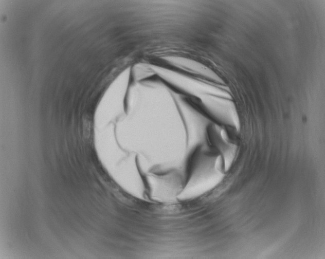 X0000069360281200606091609