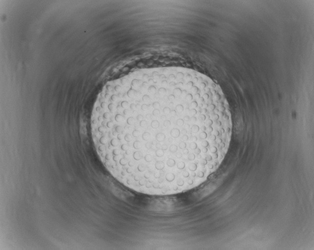 X0000069360282200606091609