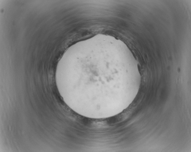 X0000069360283200606091609