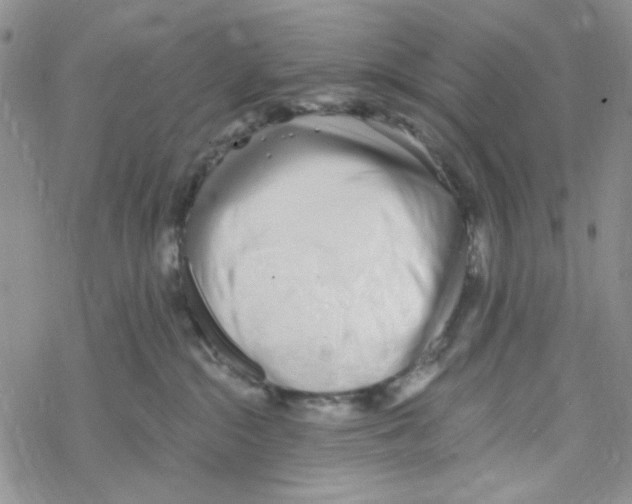 X0000069360284200606091609