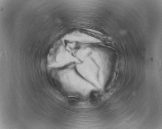 X0000069360286200606091609