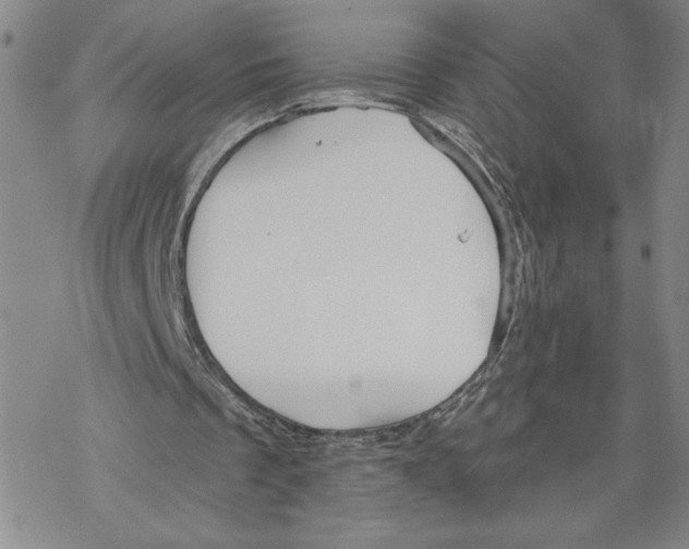 X0000069360289200606091608