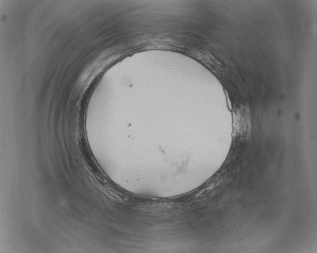 X0000069360291200606091608