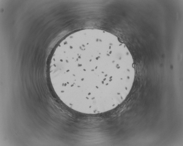 X0000069360292200606091608