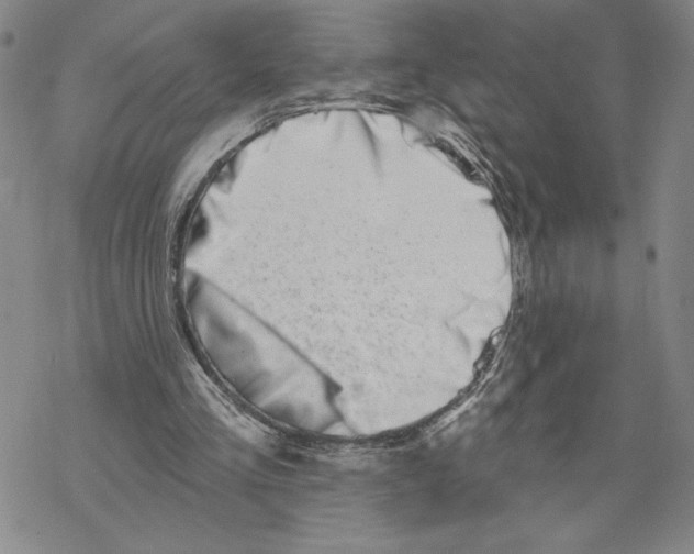 X0000069360293200606091608