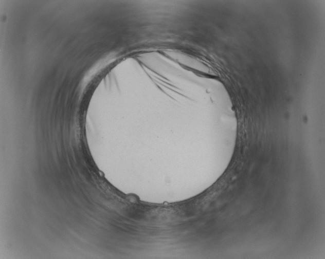 X0000069360294200606091608