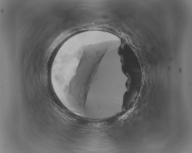 X0000069360295200606091608