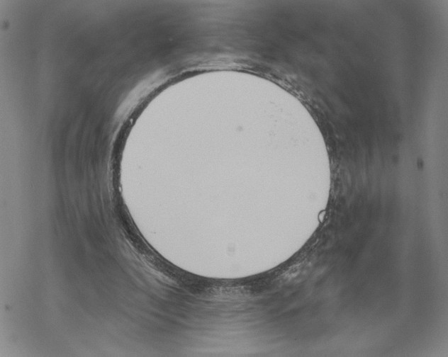 X0000069360296200606091608