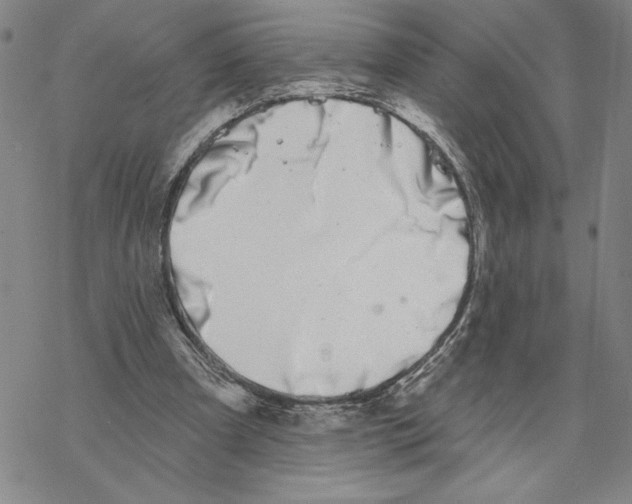 X0000069360297200606091608