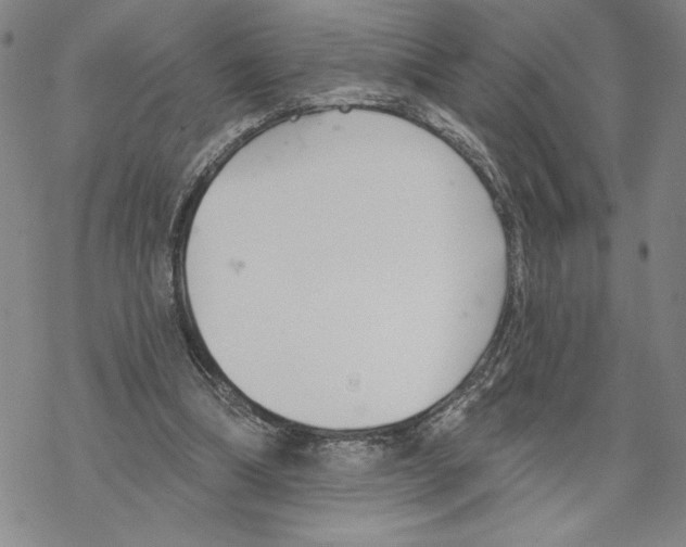 X0000069360298200606091608