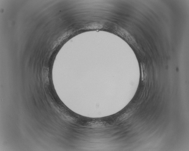 X0000069360300200606091608