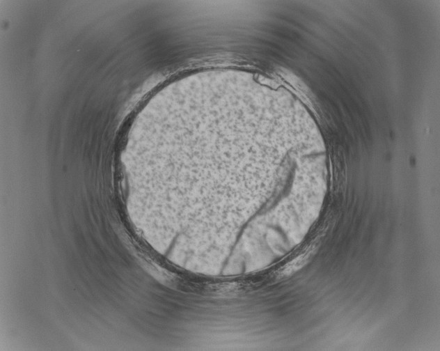 X0000069360301200606091608