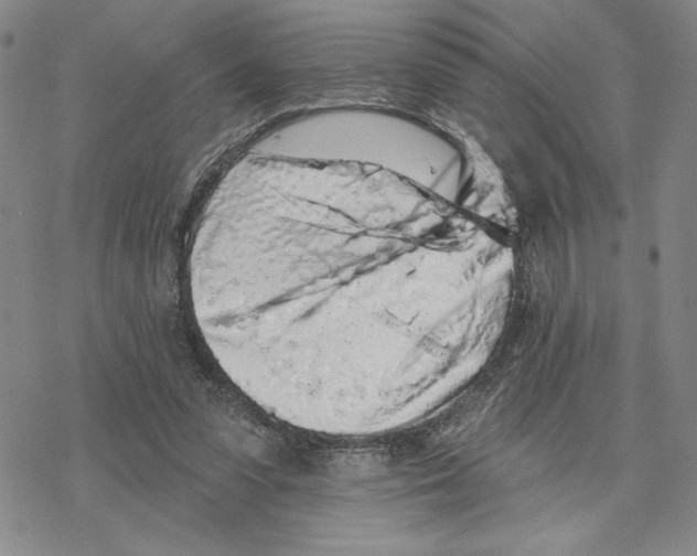 X0000069360303200606091608