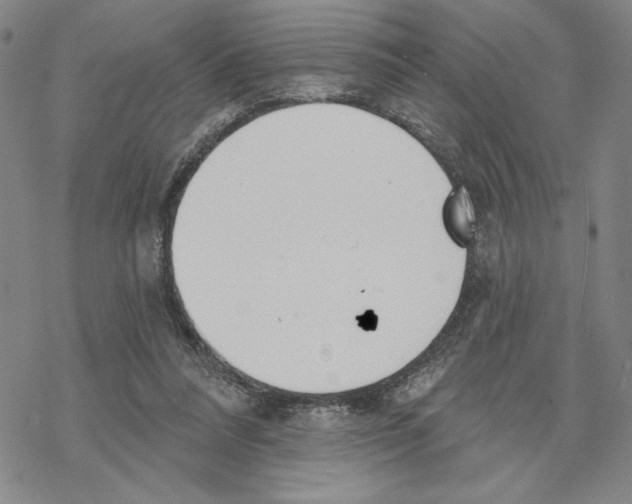 X0000069360304200606091608