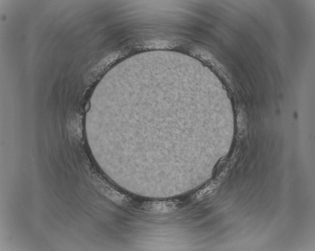 X0000069360305200606091608