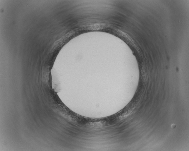 X0000069360307200606091608