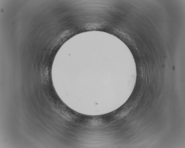 X0000069360308200606091608