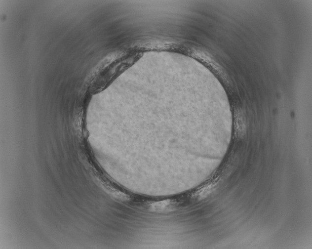 X0000069360309200606091608