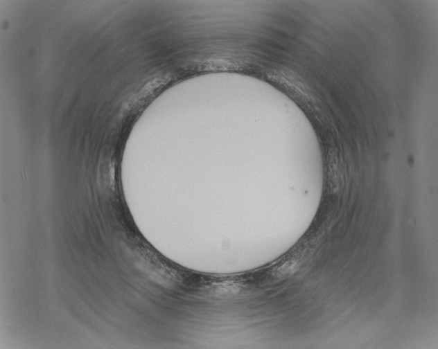 X0000069360310200606091608