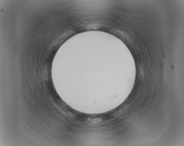 X0000069360311200606091608