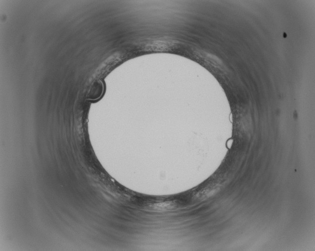 X0000069360312200606091607