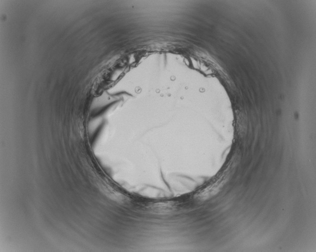 X0000069360313200606091607