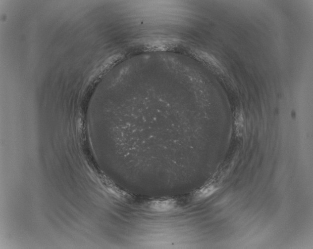 X0000069360314200606091607