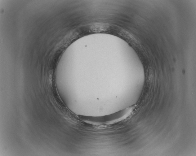 X0000069360315200606091607