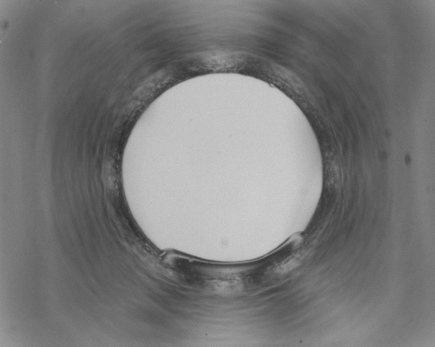 X0000069360317200606091607