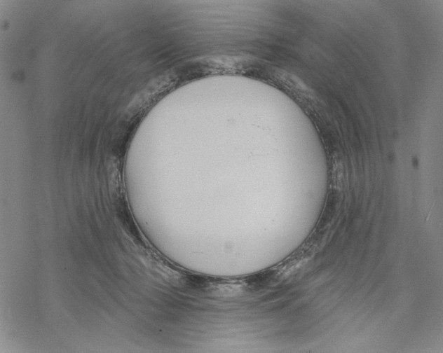 X0000069360318200606091607